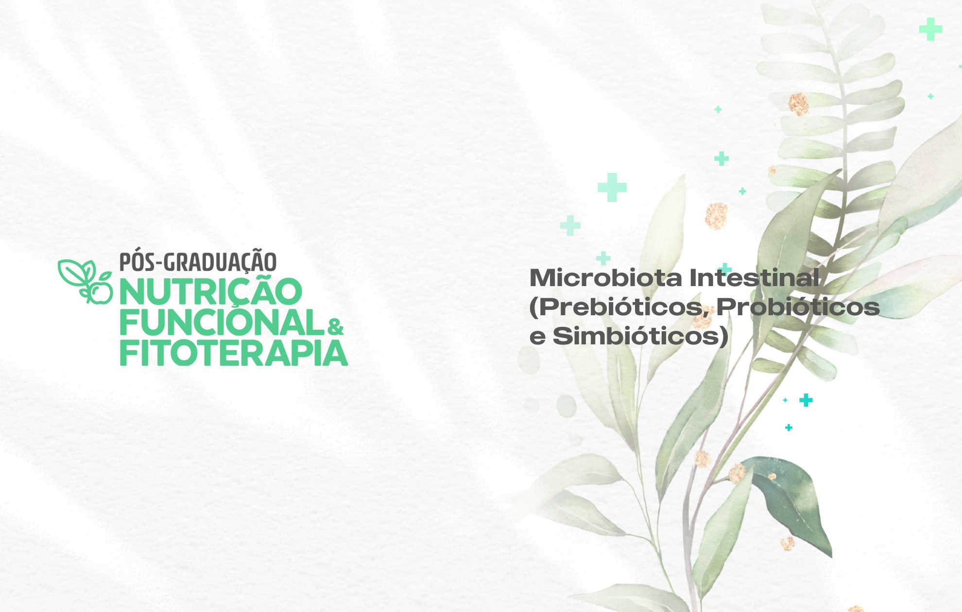 MICROBIOTA INTESTINAL (PREBIÓTICOS, PROBIÓTICOS E SIMBIÓTICOS)