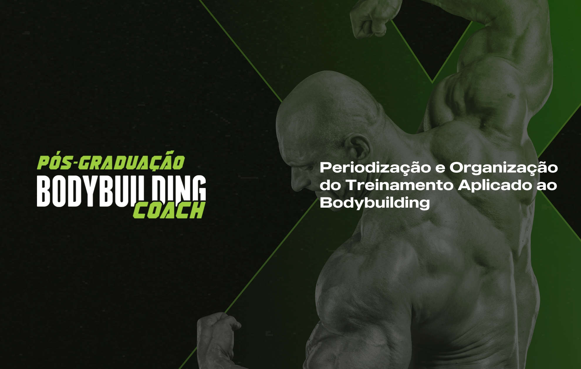 PERIODIZAÇÃO E ORGANIZAÇÃO DO TREINAMENTO APLICADO AO BODYBUILDING