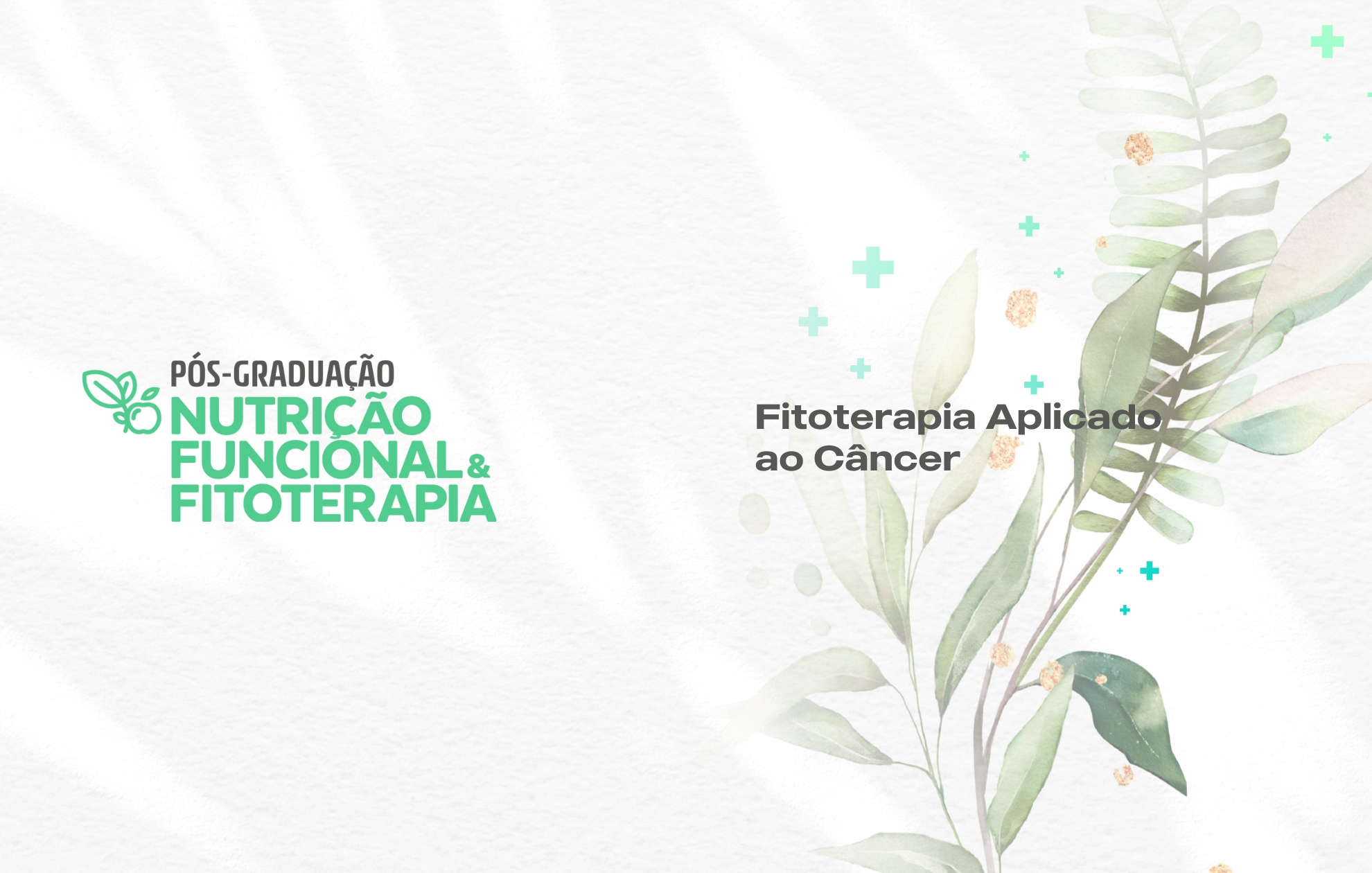 FITOTERAPIA APLICADO AO CÂNCER