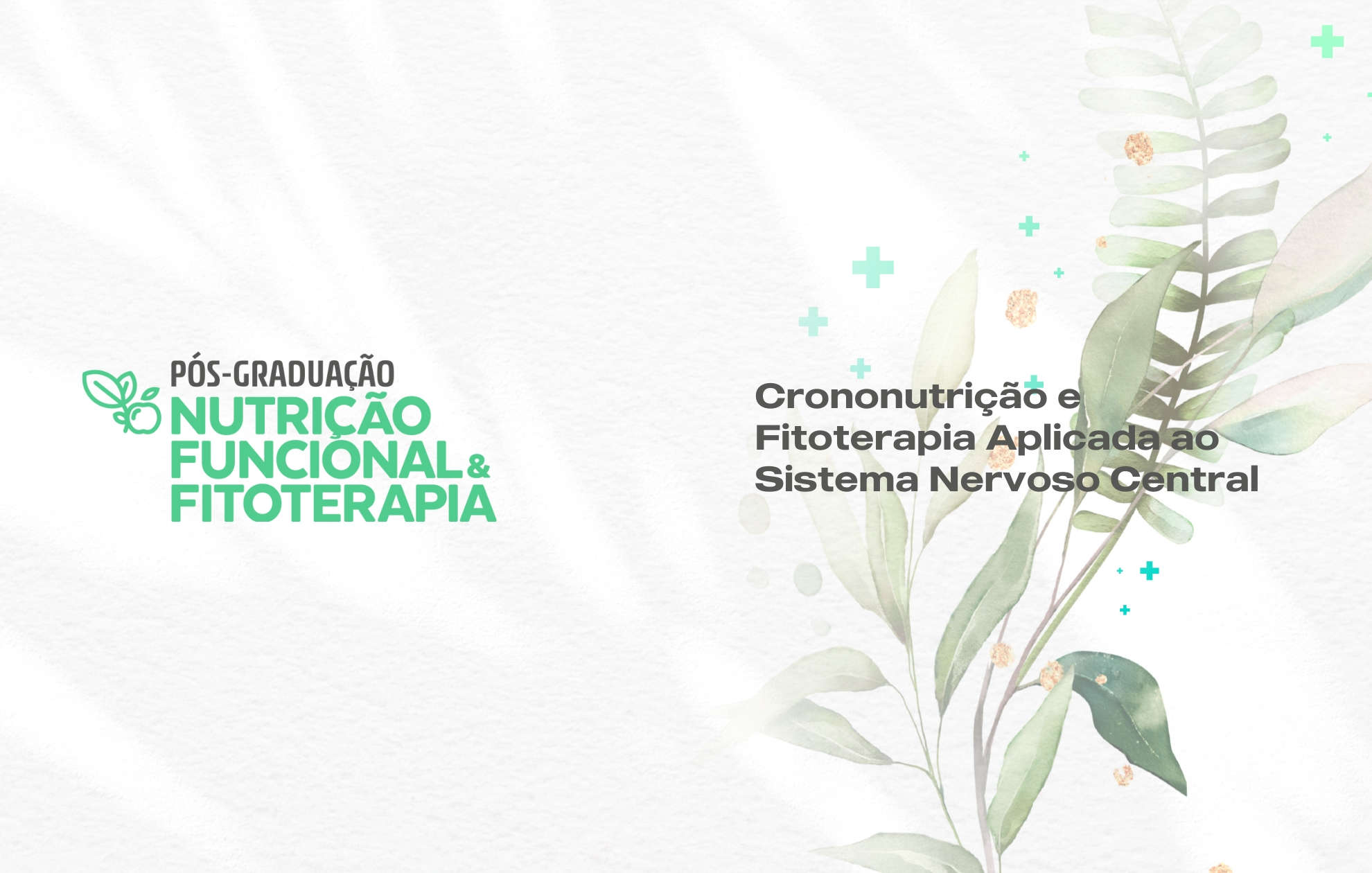 CRONONUTRIÇÃO E FITOTERAPIA APLICADA AO SISTEMA NERVOSO CENTRAL
