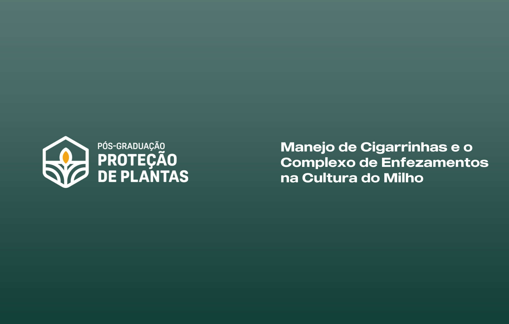 MANEJO DE CIGARRINHAS E O COMPLEXO DE ENFEZAMENTOS NA CULTURA DO MILHO