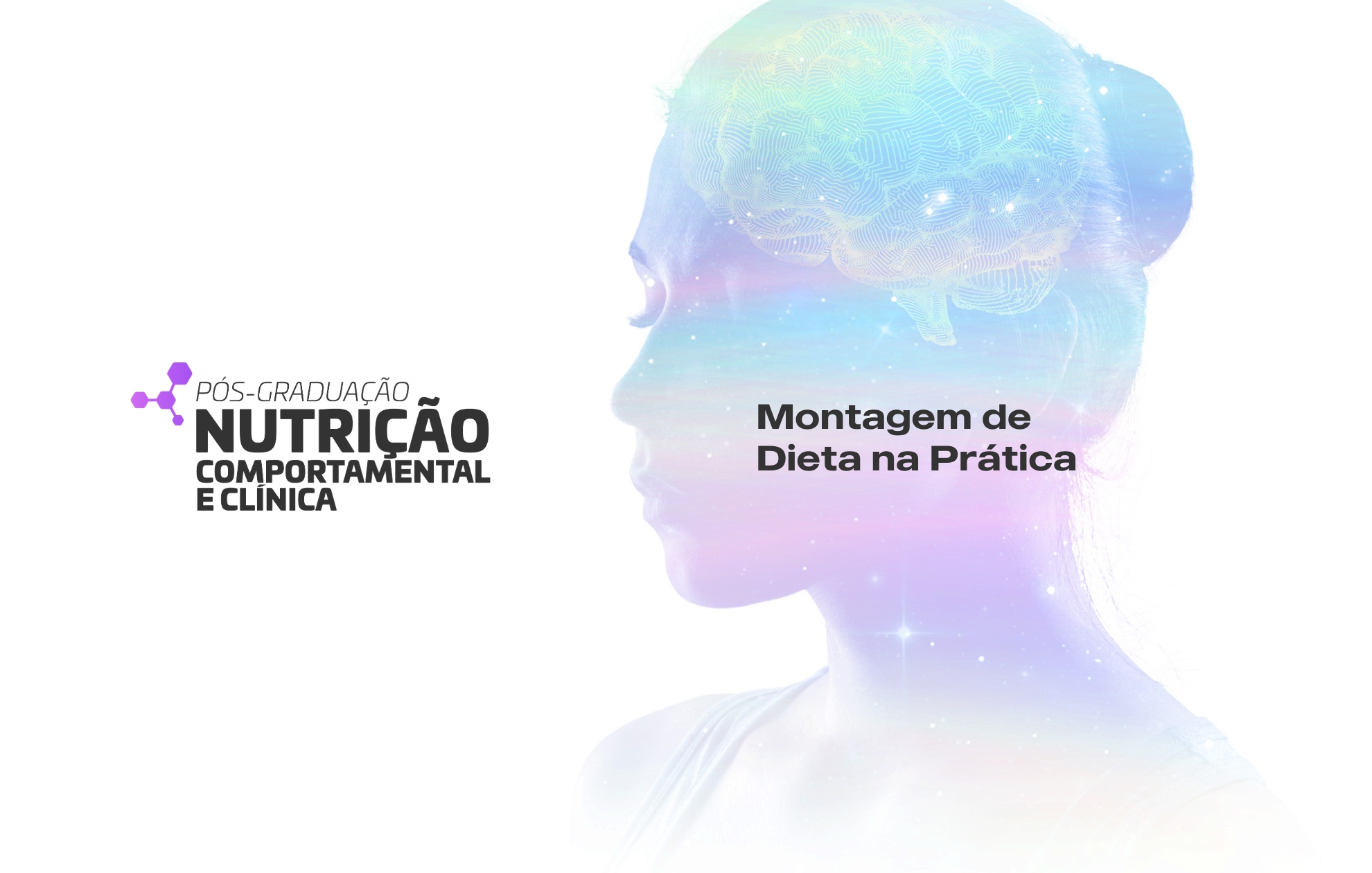 MONTAGEM DE DIETA NA PRÁTICA  