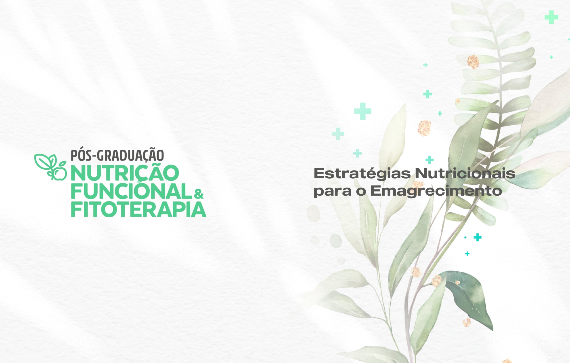 ESTRATÉGIAS NUTRICIONAIS NO EMAGRECIMENTO