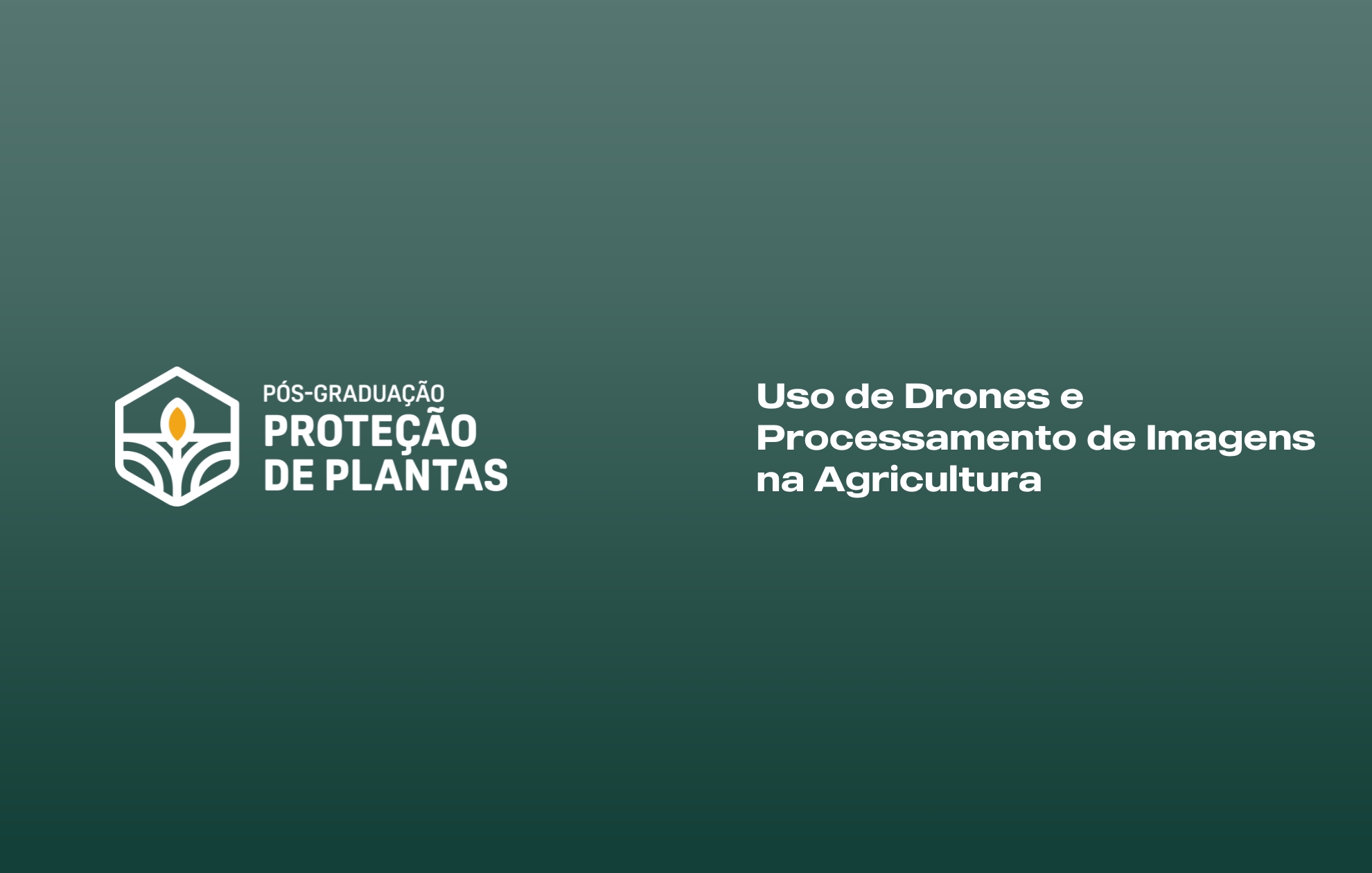 USO DE DRONES E PROCESSAMENTO DE IMAGENS NA AGRICULTURA