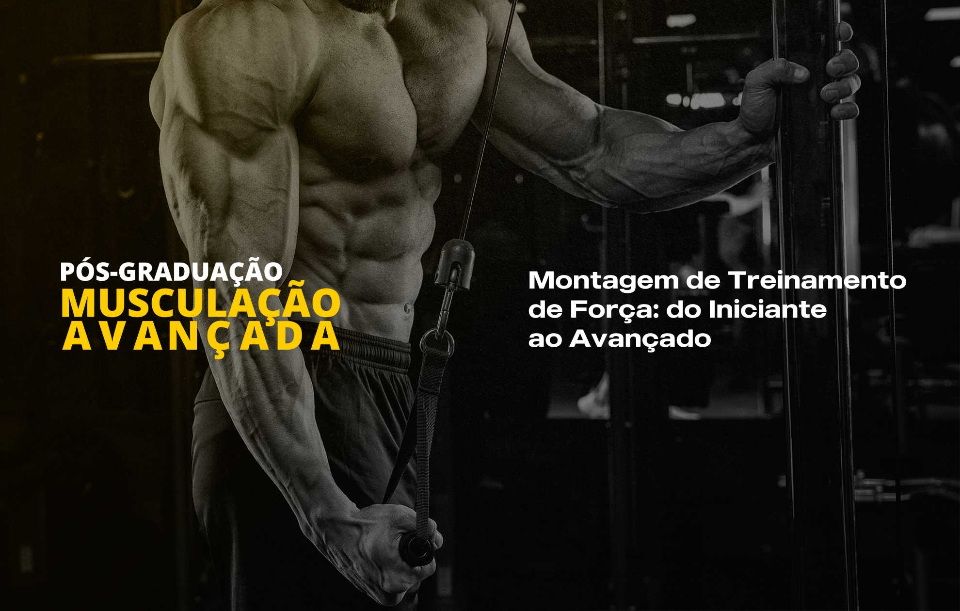 MONTAGEM DE TREINAMENTO DE FORÇA: DO INICIANTE AO AVANÇADO